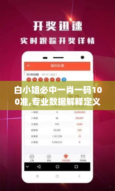 白小姐必中一肖一码100准,专业数据解释定义_桌面款69.409