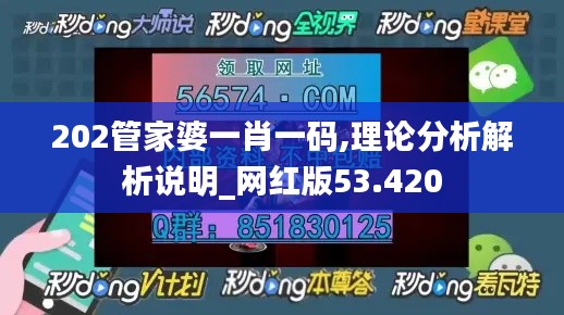 202管家婆一肖一码,理论分析解析说明_网红版53.420