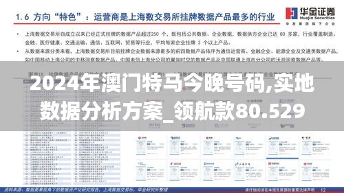 2024年澳门特马今晚号码,实地数据分析方案_领航款80.529