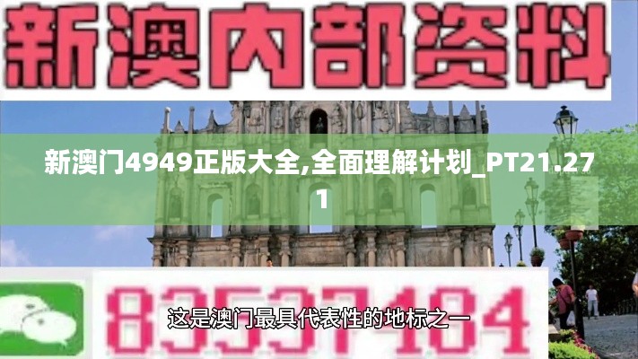 新澳门4949正版大全,全面理解计划_PT21.271