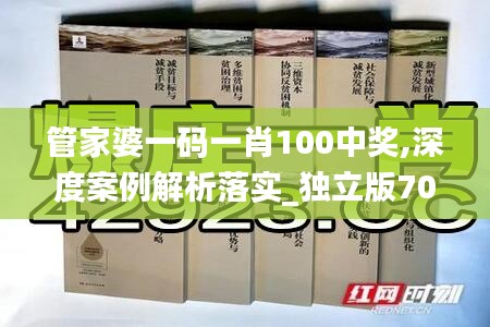 管家婆一码一肖100中奖,深度案例解析落实_独立版70.961