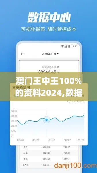 澳门王中王100%的资料2024,数据驱动计划_10DM96.959