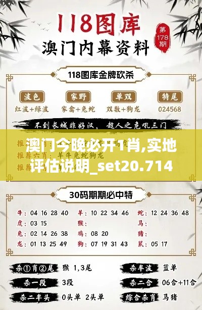 澳门今晚必开1肖,实地评估说明_set20.714