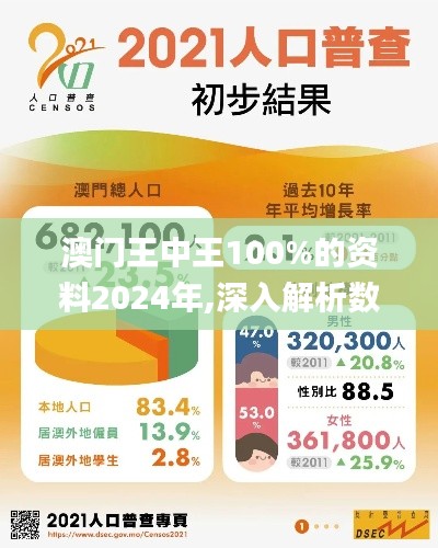 澳门王中王100%的资料2024年,深入解析数据设计_V版20.449