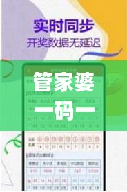 管家婆一码一肖,数据资料解释落实_9DM57.195