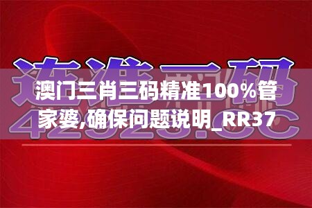 澳门三肖三码精准100%管家婆,确保问题说明_RR37.221