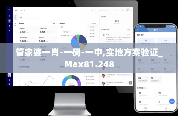 管家婆一肖-一码-一中,实地方案验证_Max81.248