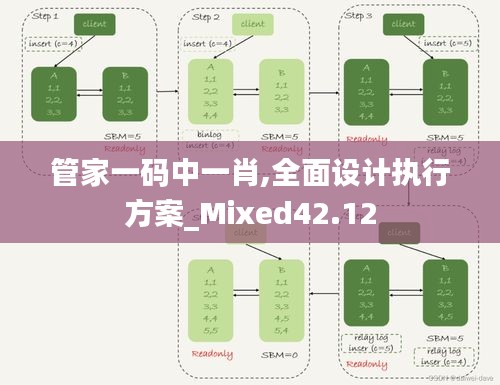 管家一码中一肖,全面设计执行方案_Mixed42.12