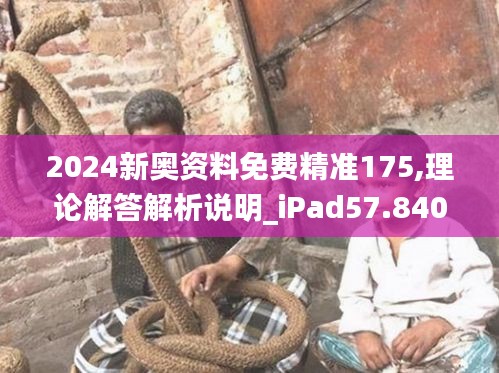 2024新奥资料免费精准175,理论解答解析说明_iPad57.840