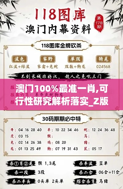 澳门100%最准一肖,可行性研究解析落实_Z版3.754