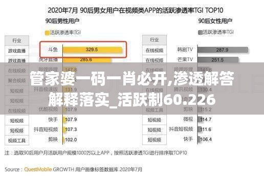 管家婆一码一肖必开,渗透解答解释落实_活跃制60.226