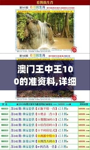 澳门王中王100的准资料,详细解读解释定义_仿真版71.114