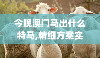 今晚澳门马出什么特马,精细方案实施_XE版34.125