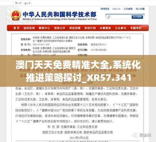 澳门天天免费精准大全,系统化推进策略探讨_XR57.341