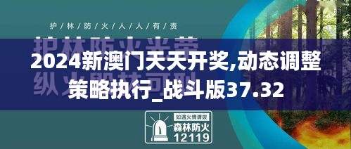 2024新澳门天天开奖,动态调整策略执行_战斗版37.32