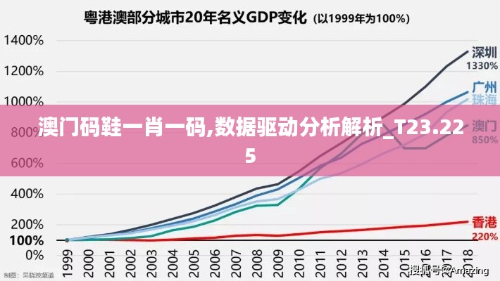 澳门码鞋一肖一码,数据驱动分析解析_T23.225