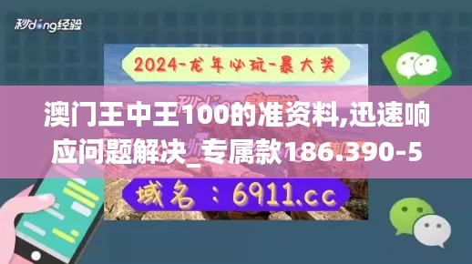 澳门王中王100的准资料,迅速响应问题解决_专属款186.390-5