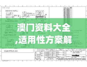 澳门资料大全,适用性方案解析_9DM77.298-3