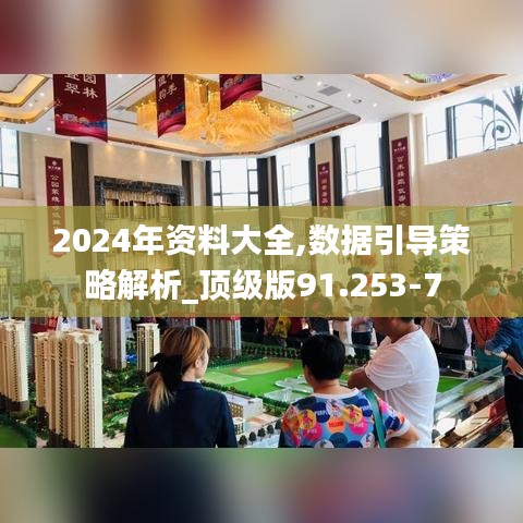 2024年资料大全,数据引导策略解析_顶级版91.253-7