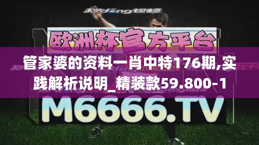 管家婆的资料一肖中特176期,实践解析说明_精装款59.800-1