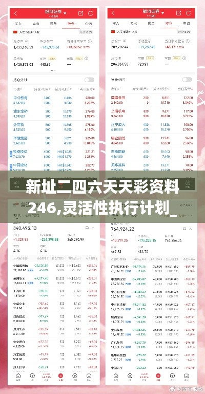 新址二四六天天彩资料246,灵活性执行计划_PalmOS161.198-9