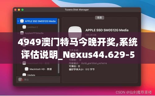 4949澳门特马今晚开奖,系统评估说明_Nexus44.629-5