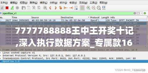 7777788888王中王开奖十记,深入执行数据方案_专属款164.849-2