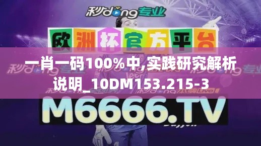 一肖一码100%中,实践研究解析说明_10DM153.215-3