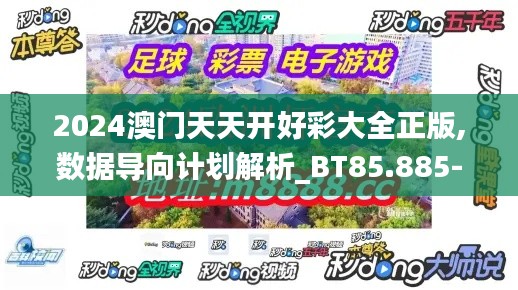 2024澳门天天开好彩大全正版,数据导向计划解析_BT85.885-4