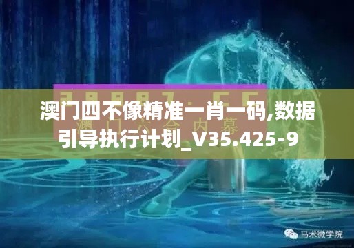 澳门四不像精准一肖一码,数据引导执行计划_V35.425-9