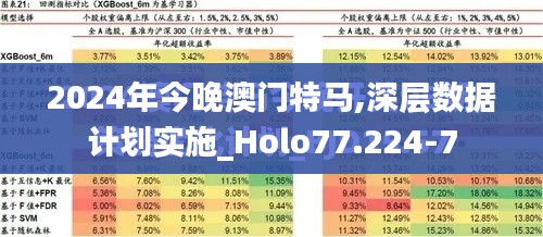 2024年今晚澳门特马,深层数据计划实施_Holo77.224-7