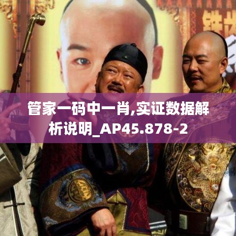 管家一码中一肖,实证数据解析说明_AP45.878-2