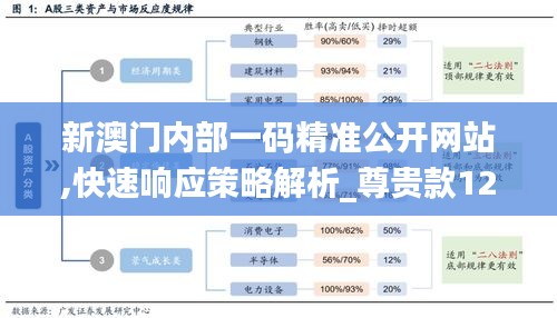 新澳门内部一码精准公开网站,快速响应策略解析_尊贵款12.310-1