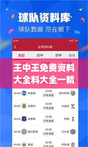 王中王免费资料大全料大全一精准,科学解释分析_CRY82.874体验式版本