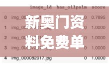 新奥门资料免费单双,深度应用解析数据_WP163.769-2