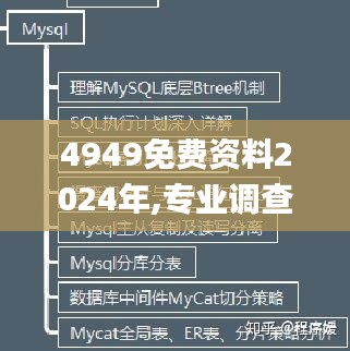 4949免费资料2024年,专业调查具体解析_UNU66.715瞬间版