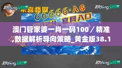 澳门管家婆一肖一码100／精准,数据解析导向策略_黄金版38.134-6