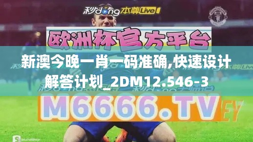 新澳今晚一肖一码准确,快速设计解答计划_2DM12.546-3