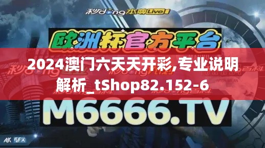 2024澳门六天天开彩,专业说明解析_tShop82.152-6