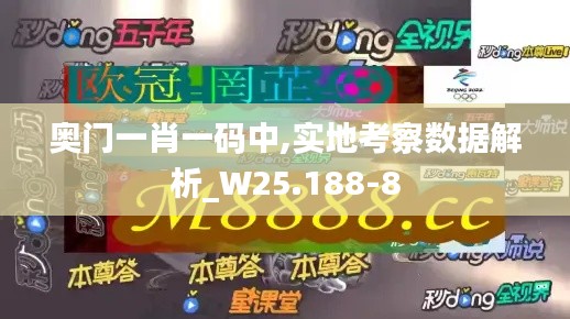 奥门一肖一码中,实地考察数据解析_W25.188-8