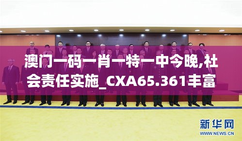 澳门一码一肖一特一中今晚,社会责任实施_CXA65.361丰富版