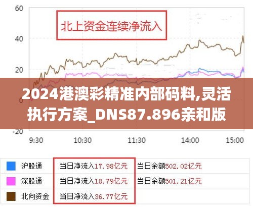 2024港澳彩精准内部码料,灵活执行方案_DNS87.896亲和版