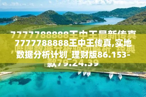 7777788888王中王传真,实地数据分析计划_理财版86.153-2