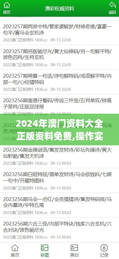 2024年澳门资料大全正版资料免费,操作实践评估_ITJ86.892大师版