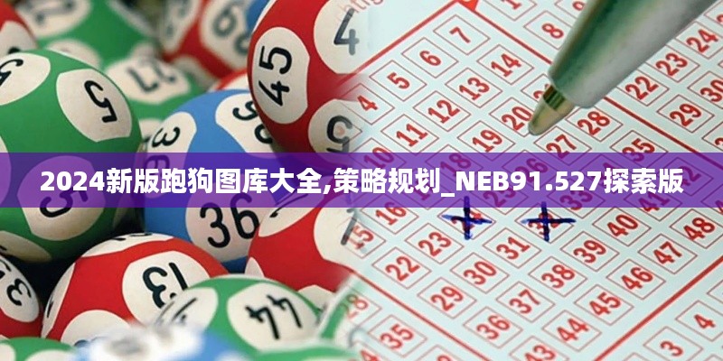 2024新版跑狗图库大全,策略规划_NEB91.527探索版