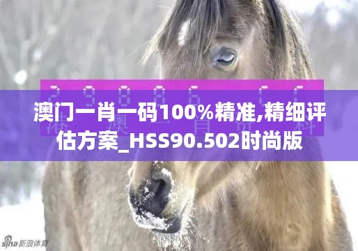 澳门一肖一码100%精准,精细评估方案_HSS90.502时尚版