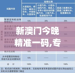 新澳门今晚精准一码,专业执行解答_体验版37.662-9