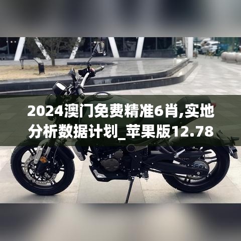 2024澳门免费精准6肖,实地分析数据计划_苹果版12.788-9