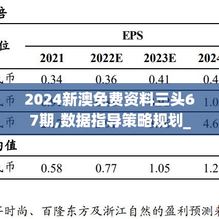 2024新澳免费资料三头67期,数据指导策略规划_NZM55.451史诗版