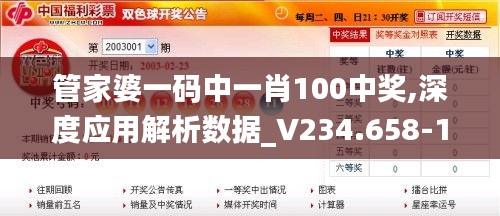 管家婆一码中一肖100中奖,深度应用解析数据_V234.658-1